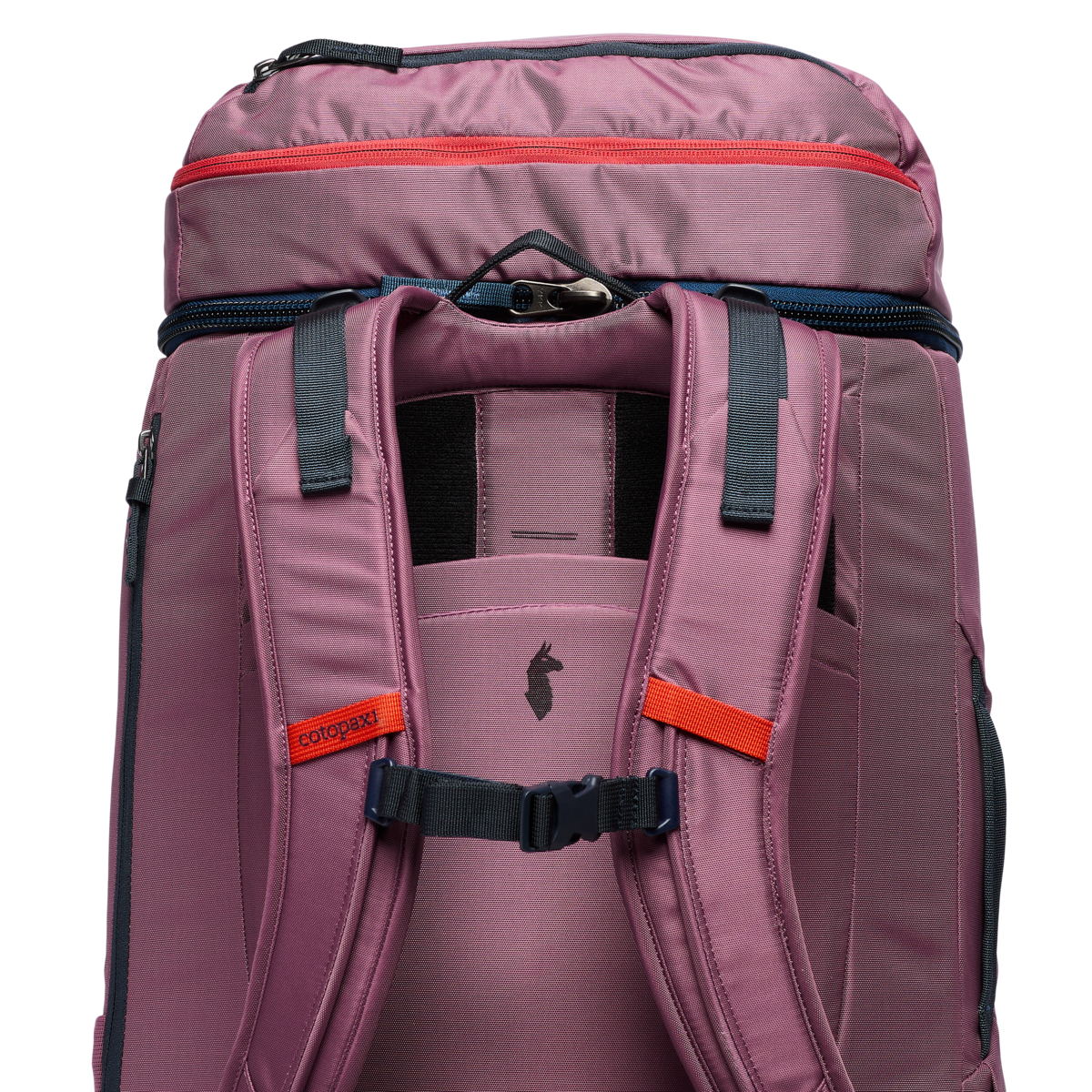 Allpa 50L Adventure Travel Pack, Fig