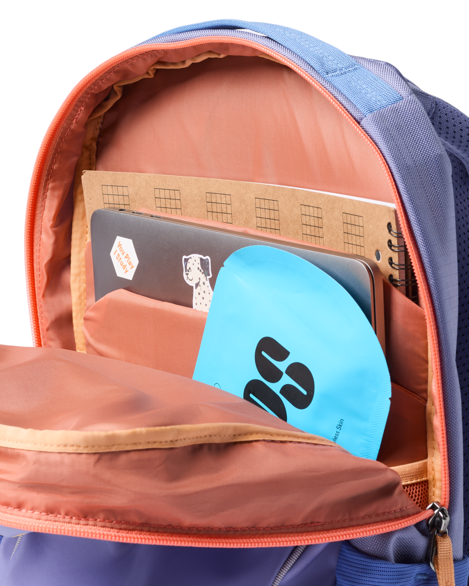 Allpa 18L Daypack, Aster