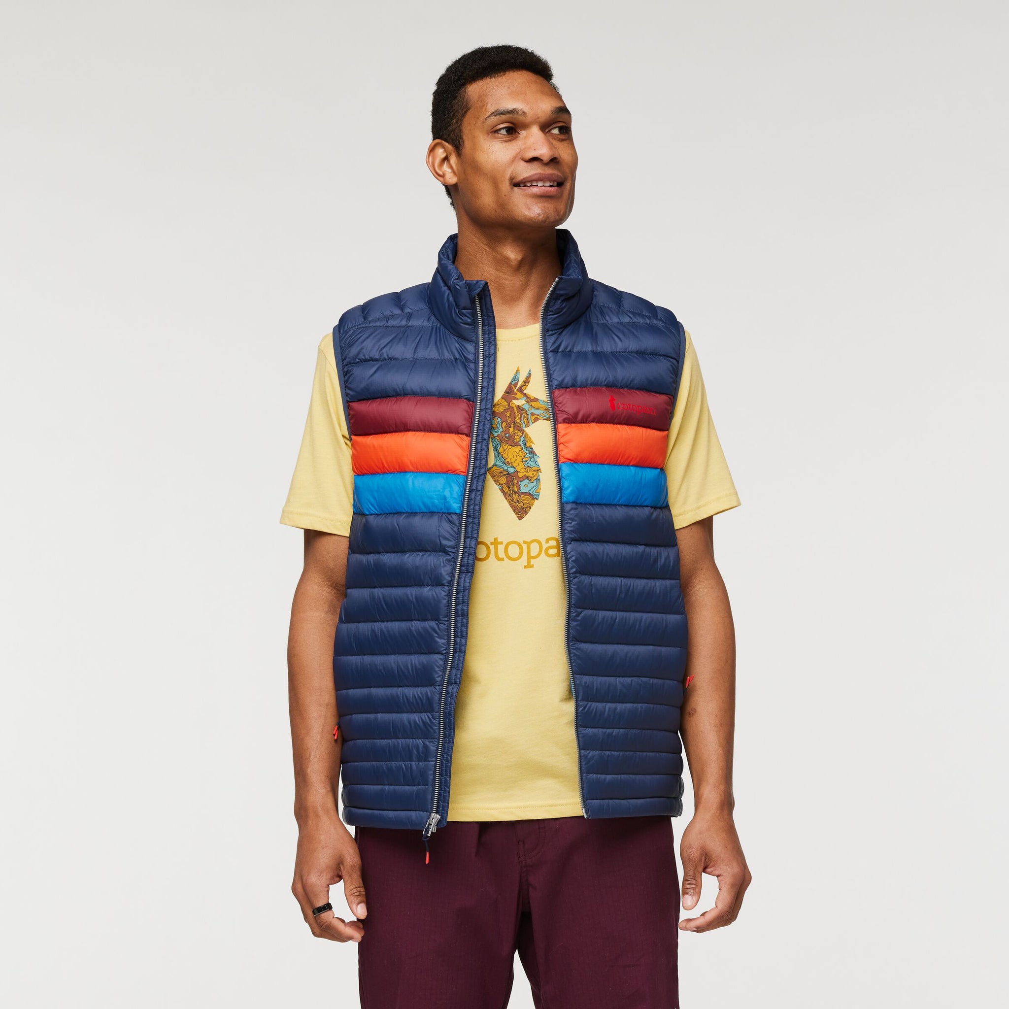 Fuego Down Vest - Men's, Ink Stripes