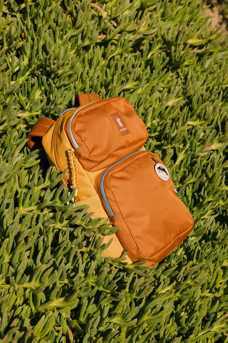 Tasra 16L Backpack